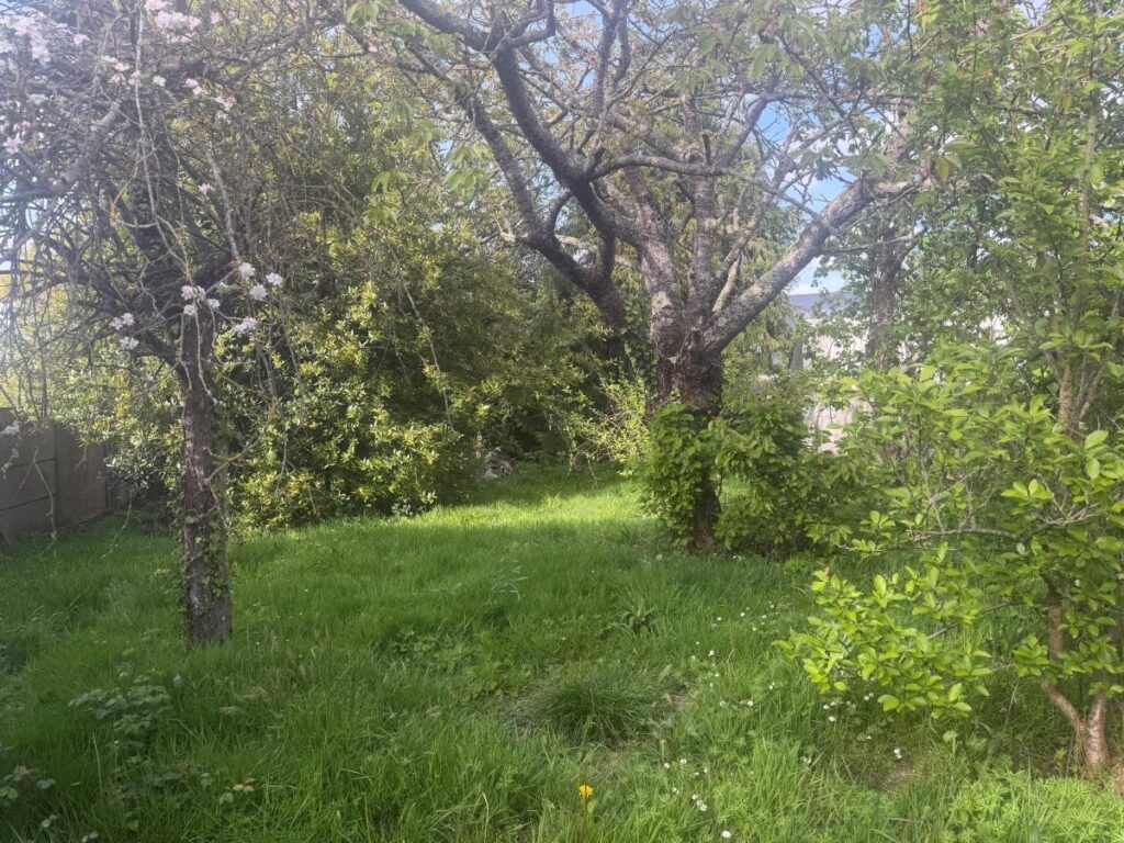 Terrain – Dinard