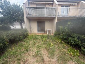 Miniature